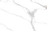 Arbescato Super White - 120x180cm